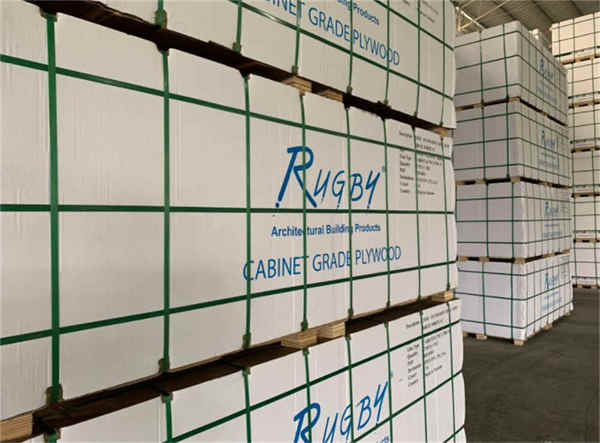 熱い販売プラスチック透明 PP 包装ストラップ Hot Sales Plastic Clear PP Packaging Strap